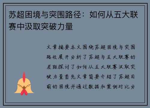 苏超困境与突围路径：如何从五大联赛中汲取突破力量
